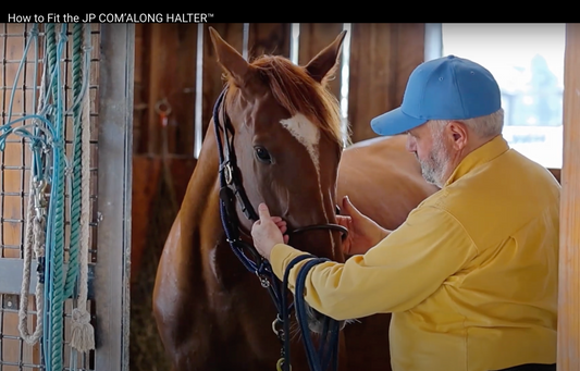 VIDEO: How to Fit the JP COM’ALONG HALTER™