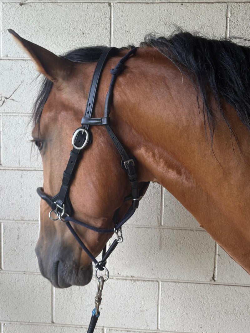 JP Com'Along Leading Halter