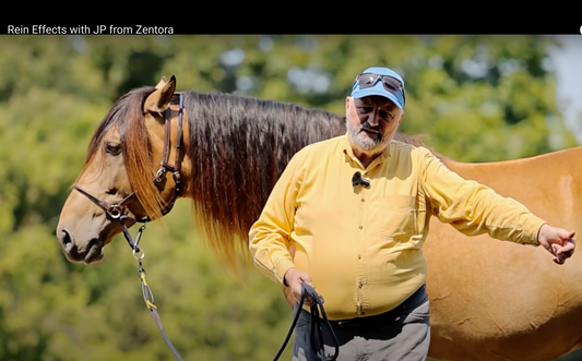 VIDEO: Learn about the The Rein Effects and Come Along Halter with JP