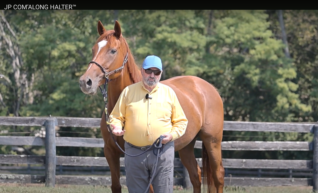 A VIDEO: The Idea behind the JP COM’ALONG HALTER™