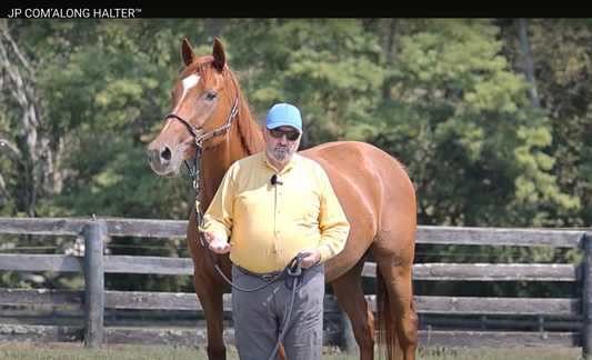 A VIDEO: The Idea behind the JP COM’ALONG HALTER™