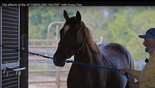 A VIDEO: The effects of the JP Com'Along Halter with Cross-Ties
