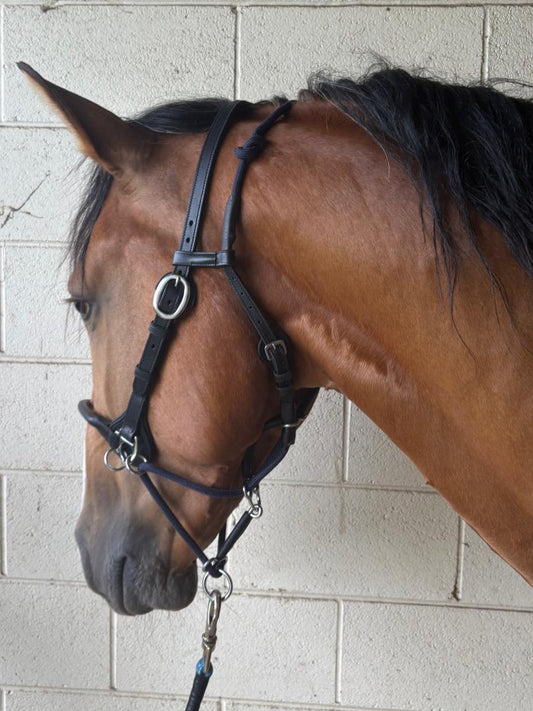 JP Com'Along Leading Halter